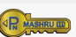 P.N. Mashru LTD logo